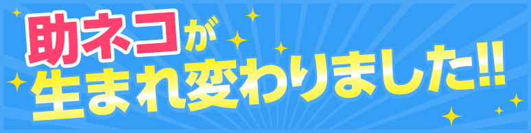 助ネコが生まれ変わりました!!